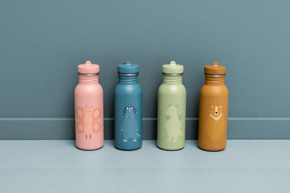 Stainless Steel Bottle 350 ml - Mr. Triceratops