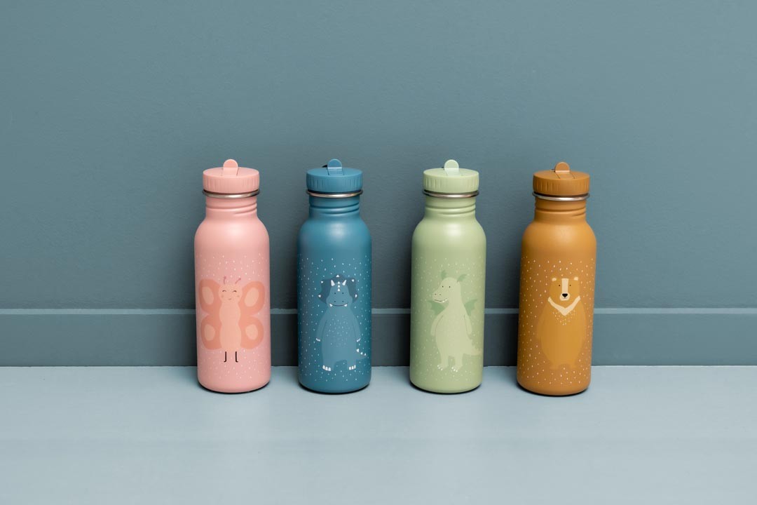 Stainless Steel Bottle 500 ml - Mr. Triceratops